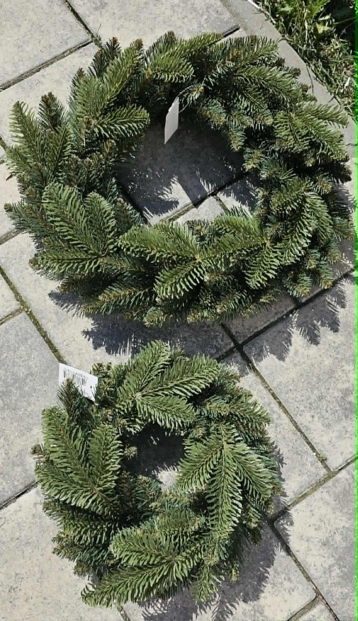 Věnec chvojí NOBILIS - 30 cm malý