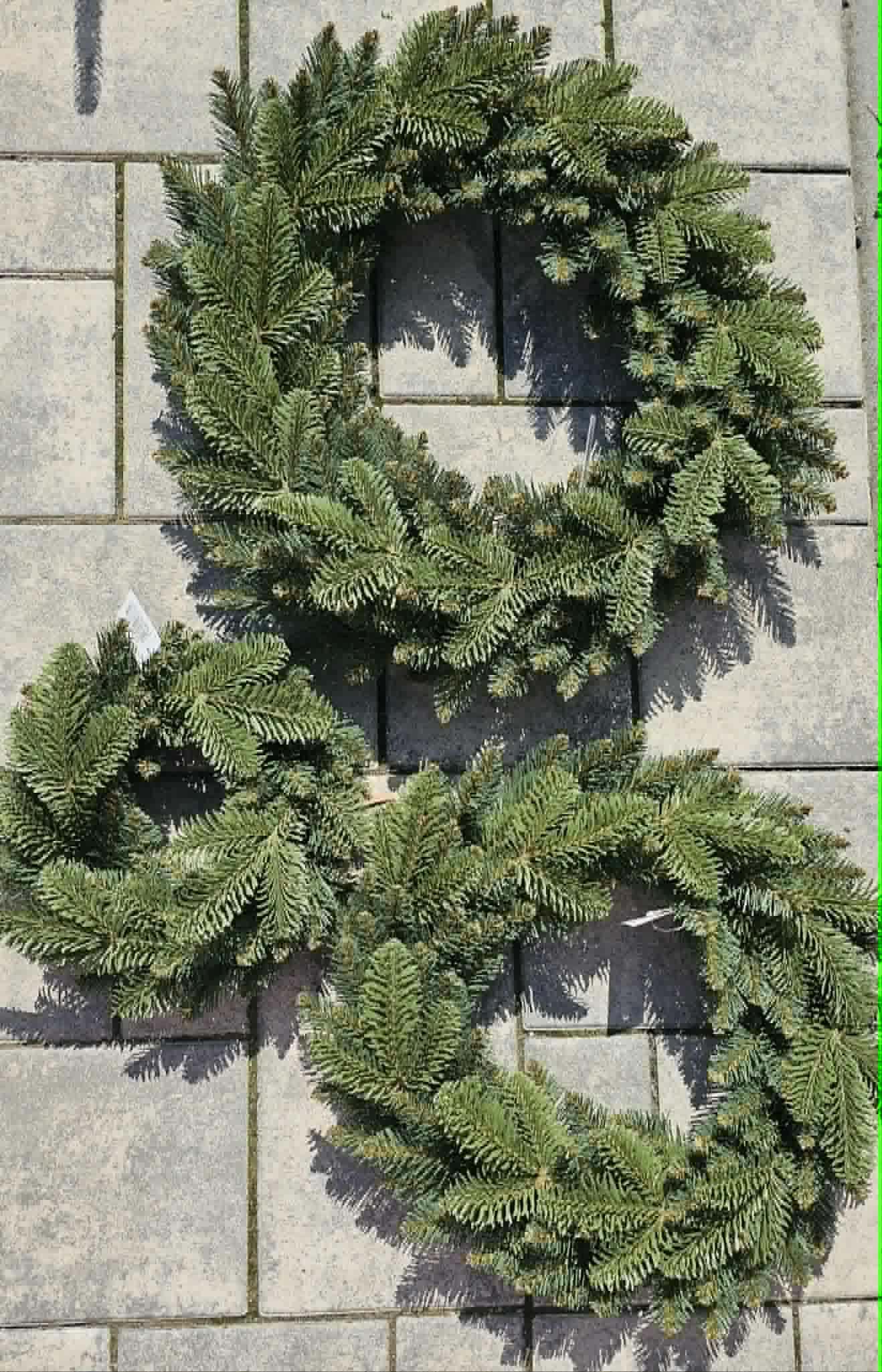 Věnec chvojí NOBILIS - 30 cm malý
