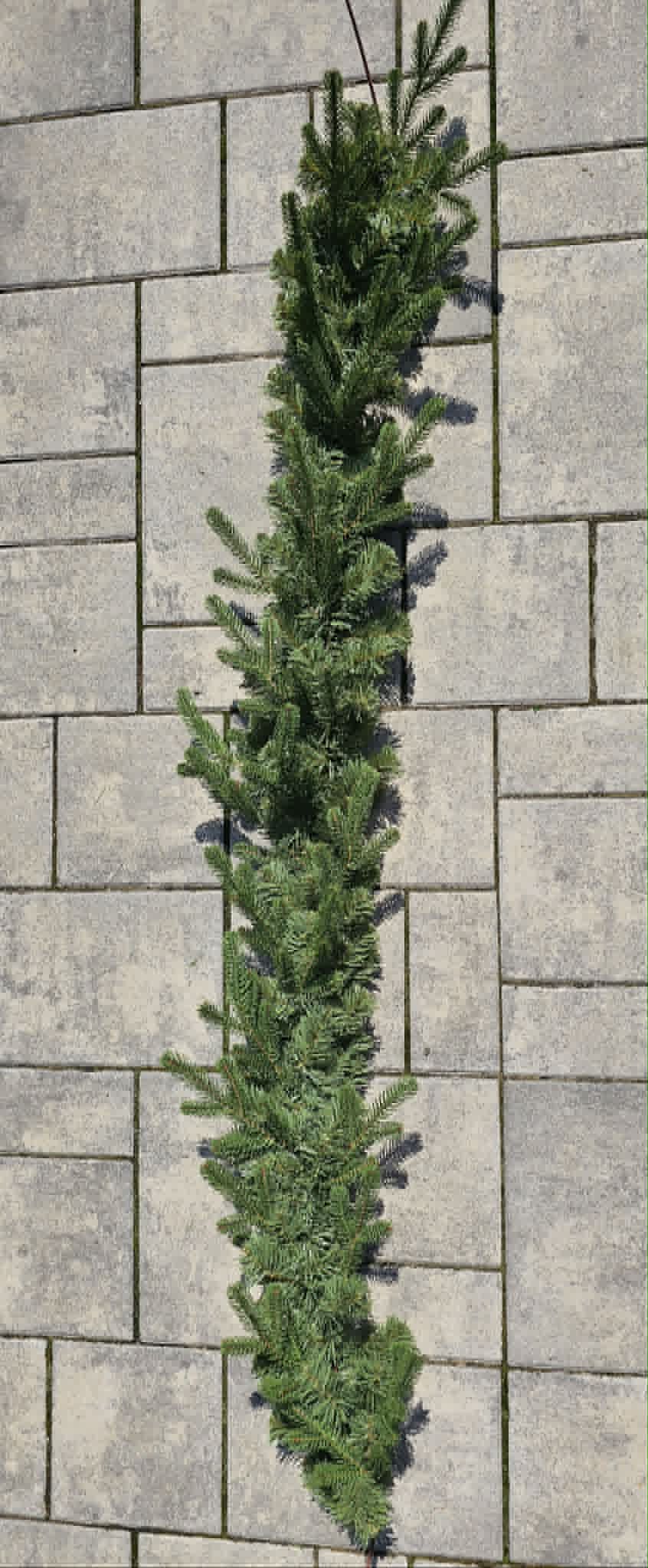 Girlanda NOBILIS - 150 cm