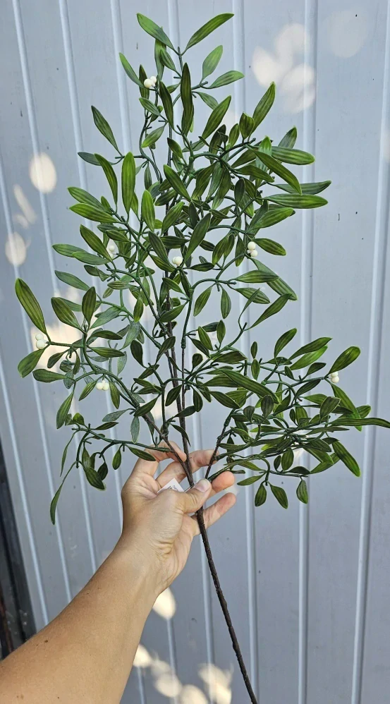 Jmelí, bohatá větev, 80 cm