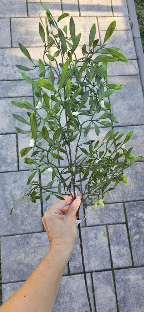 Jmelí, bohatá větev, 80 cm