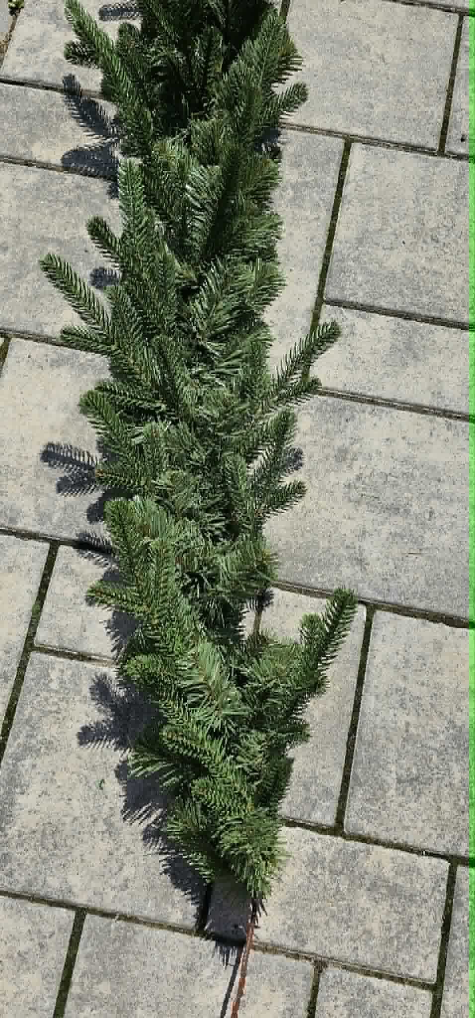 Girlanda NOBILIS - 150 cm